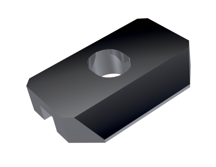 RRS-NanoHead Swiss-Arca Show adapter